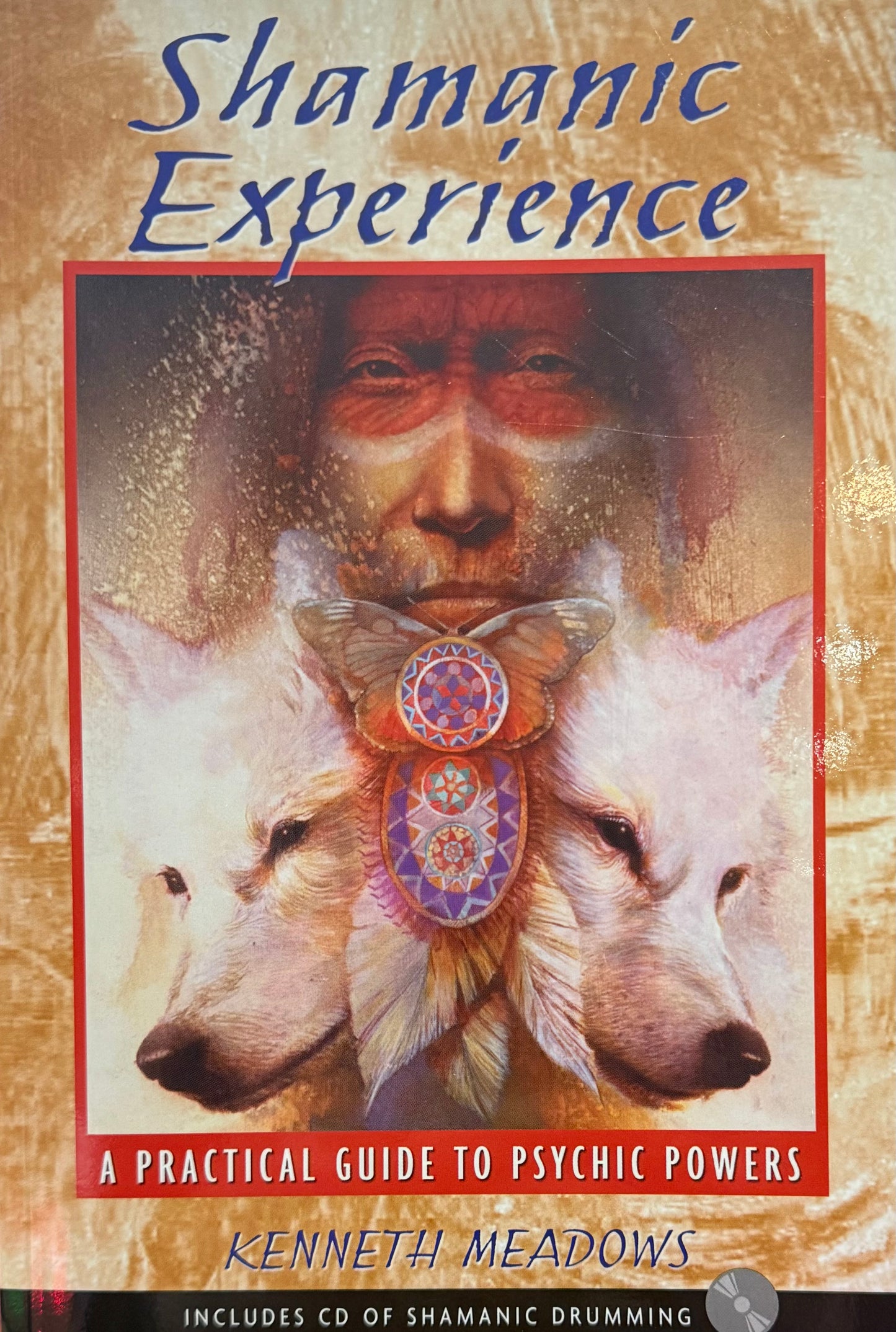 Shamanic Experience: A Practical Guide to Psychic Powers