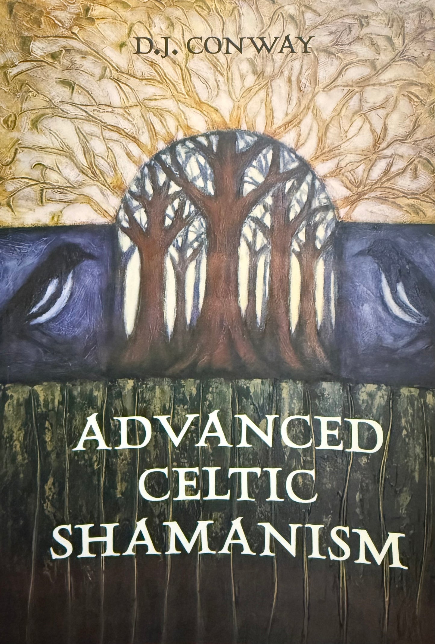 Advanced Celtic Shamanism