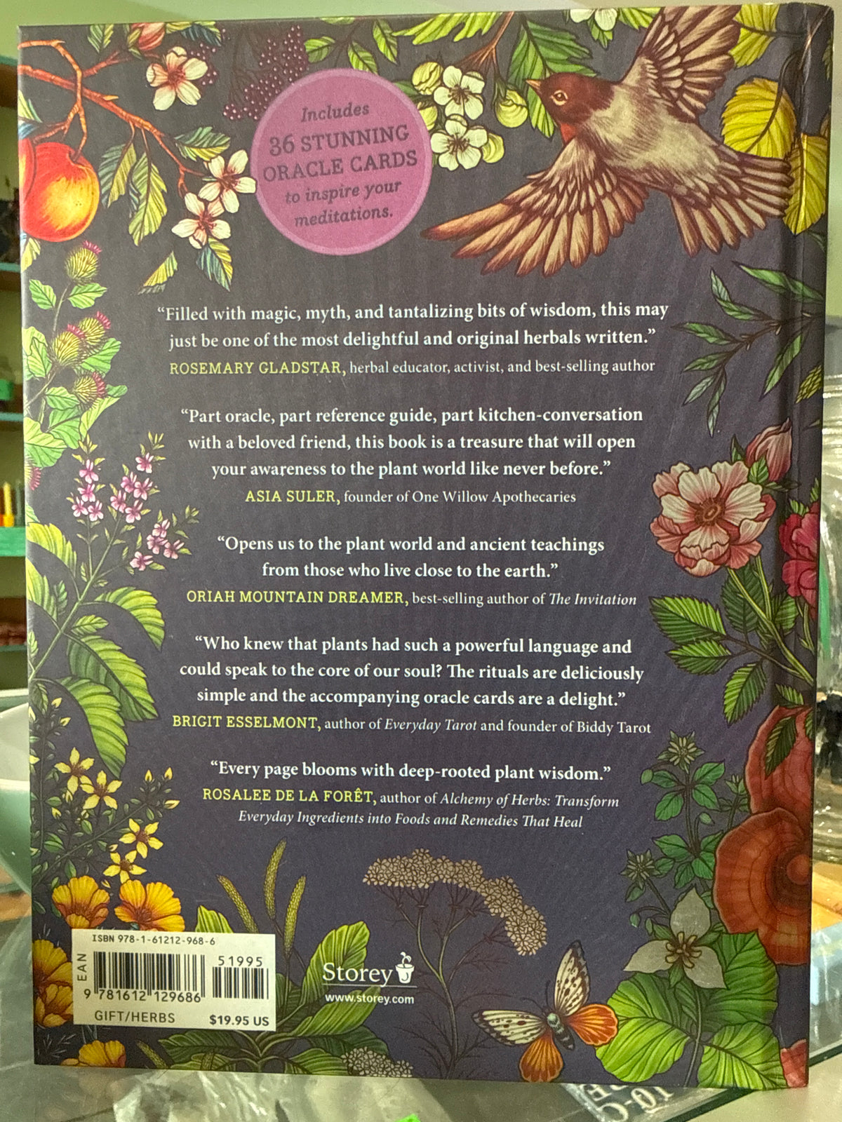 The Illustrated Herbiary: Guidance and Rituals from 36 Bewitching Botanicals