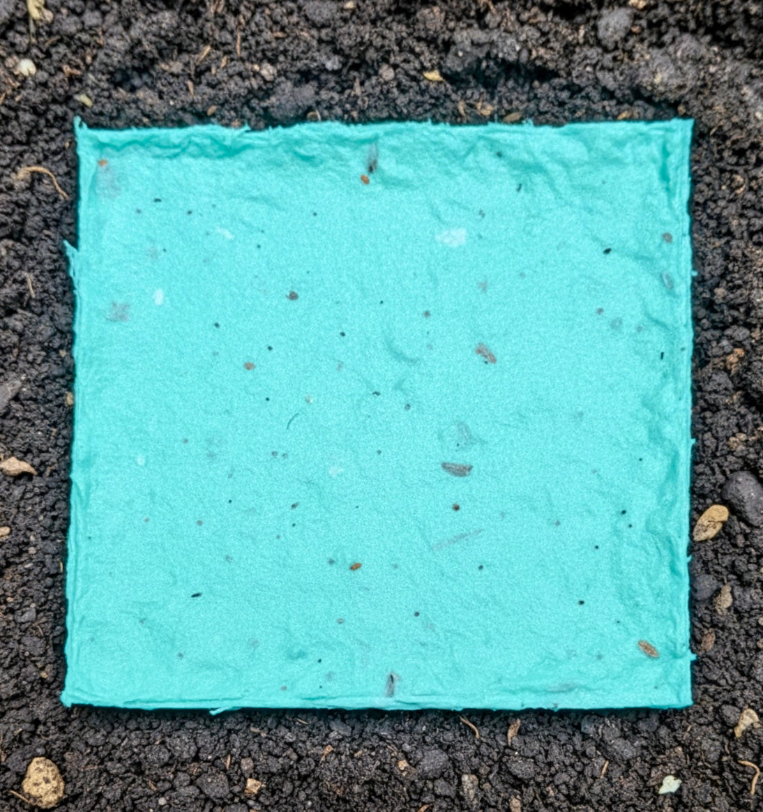 Seed Paper