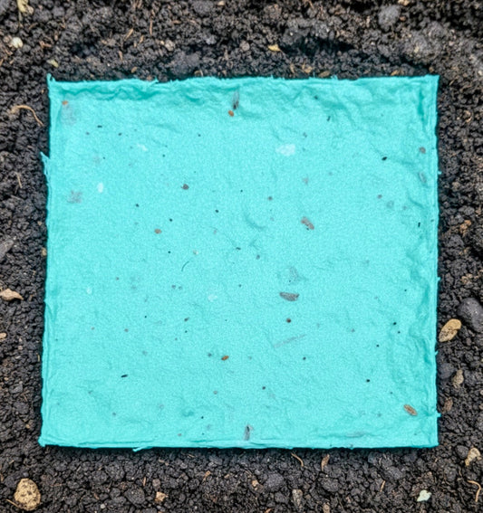 Seed Paper