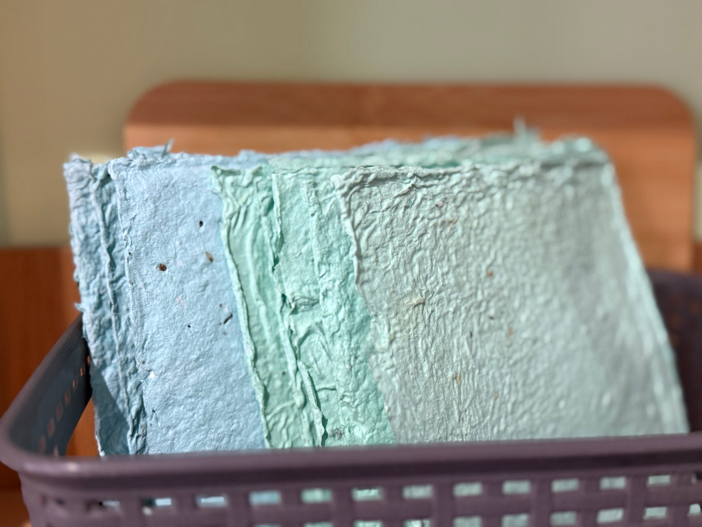 Seed Paper