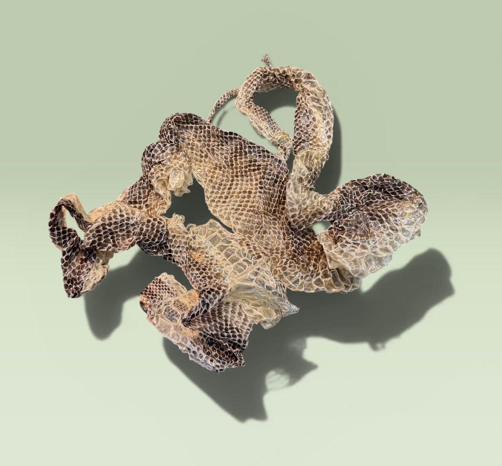 Snake Skin