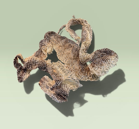 Snake Skin