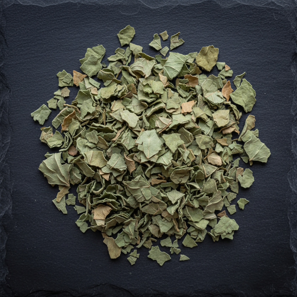 Dried boldo leaves on a dark gray slate surface